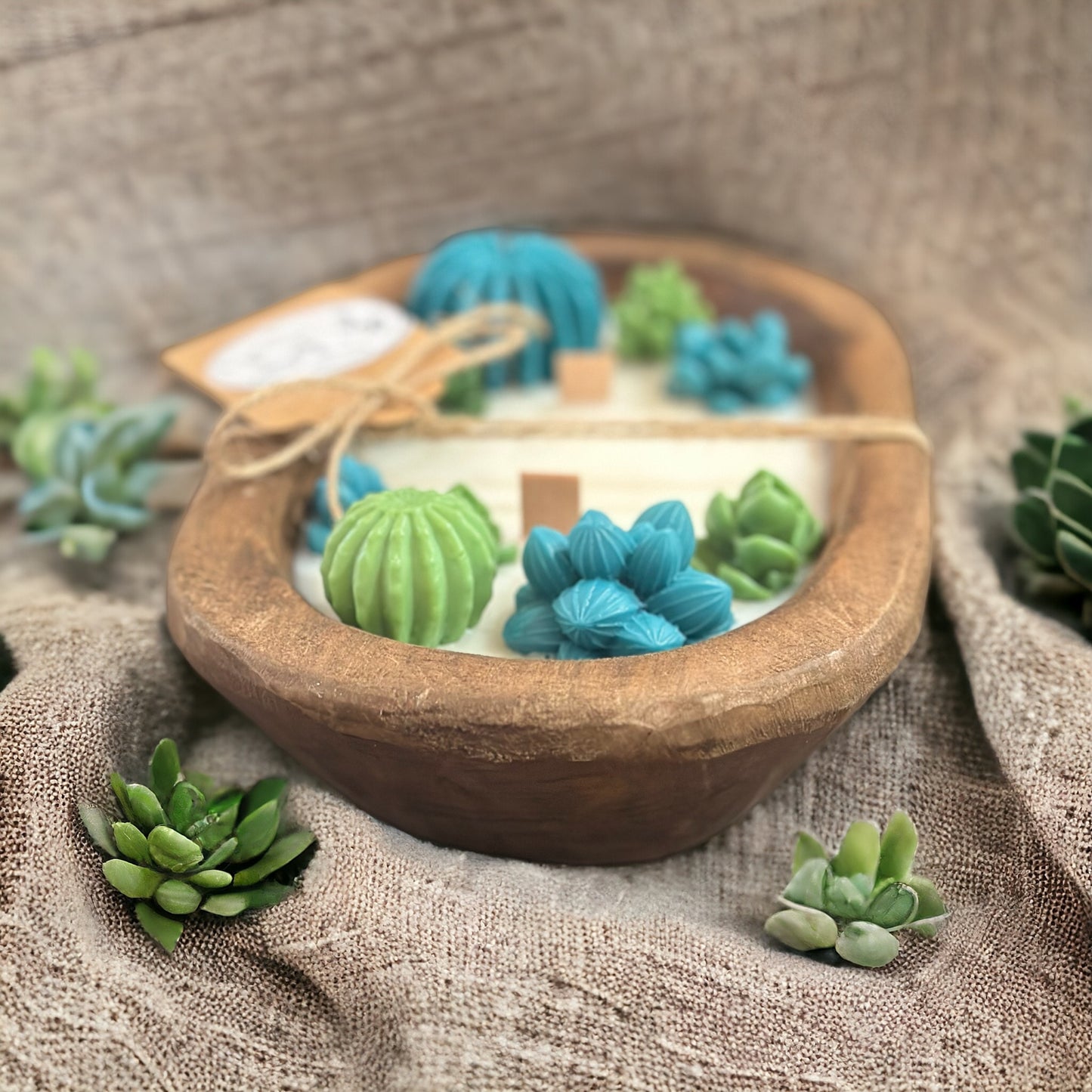 Succulent Dough Bowl Soy Candle- Baja Cactus or Blue Agave & Melon